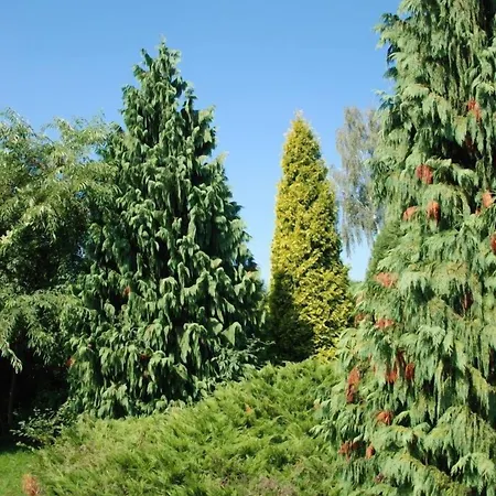 Perla Lesna Nadarzyn