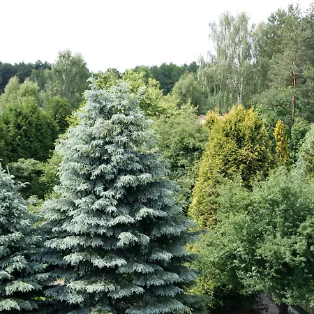 Bed & Breakfast Perla Lesna