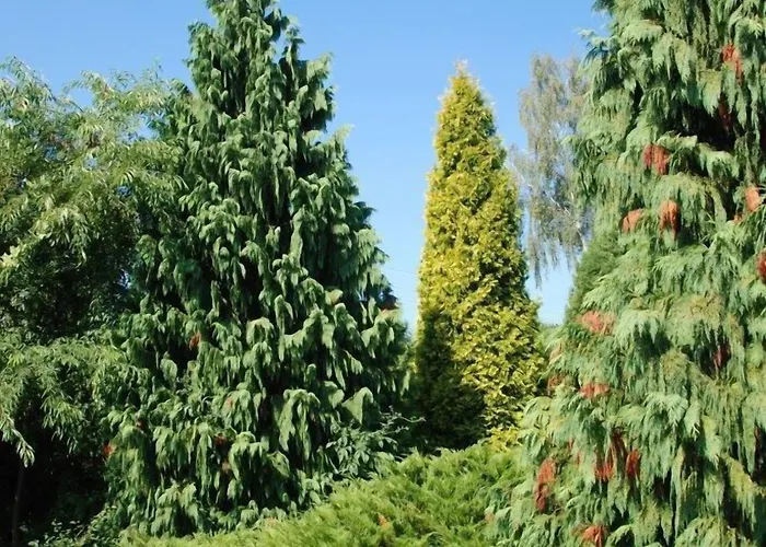 Perla Lesna Nadarzyn