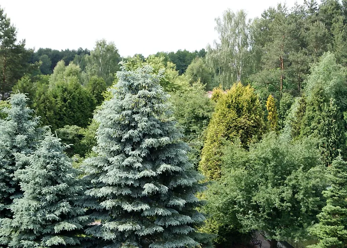 Nocleg ze śniadaniem Perła Leśna
